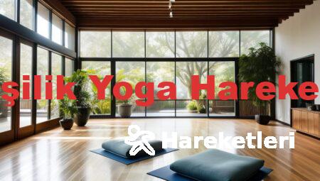 2 Kişilik Yoga Hareketleri