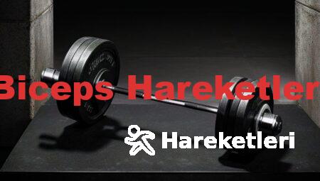 Biceps Hareketleri