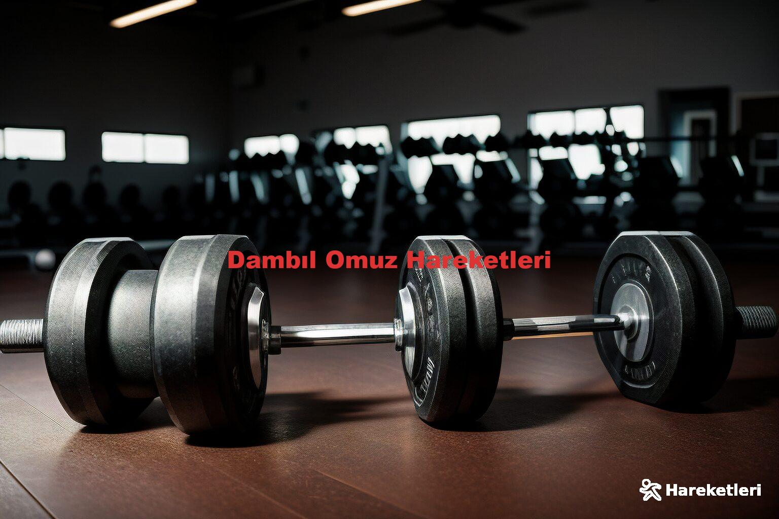 Dambıl Omuz Hareketleri