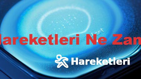 Erkek Bebek Hareketleri Ne Zaman Hissedilir?
