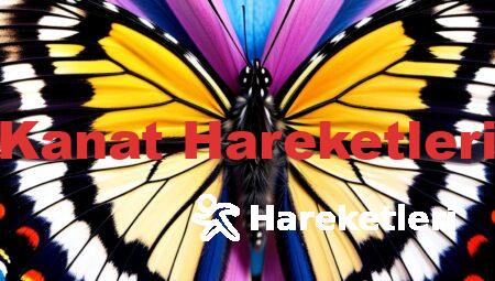 Kanat Hareketleri