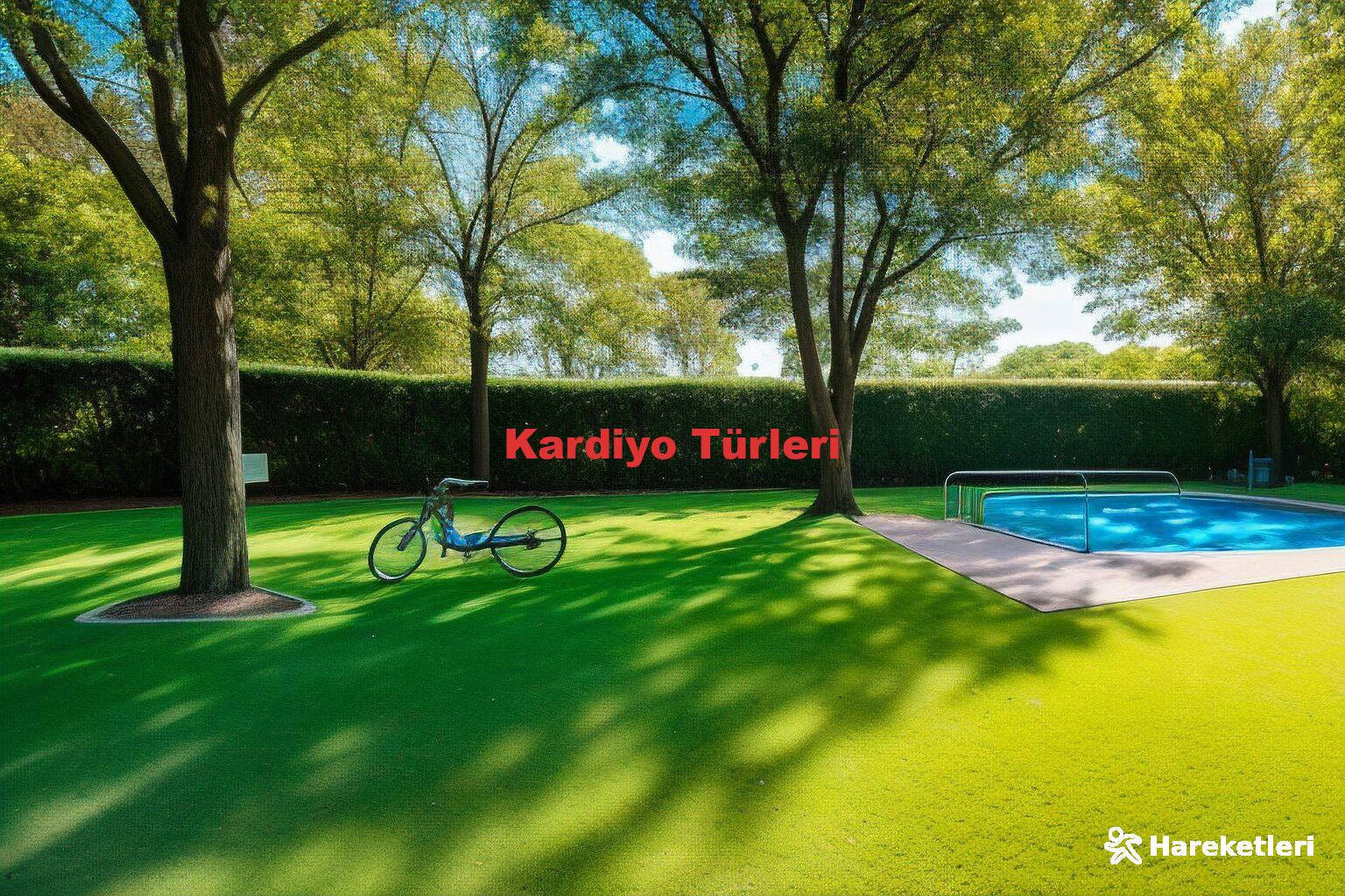 Kardiyo Türleri