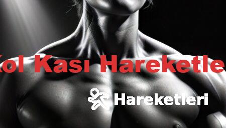 Kol Kası Hareketleri