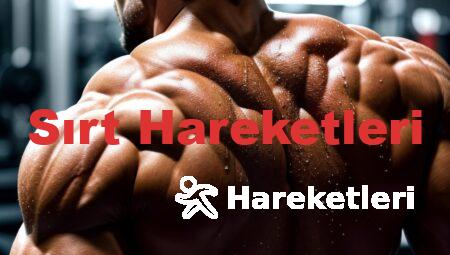 Sırt Hareketleri