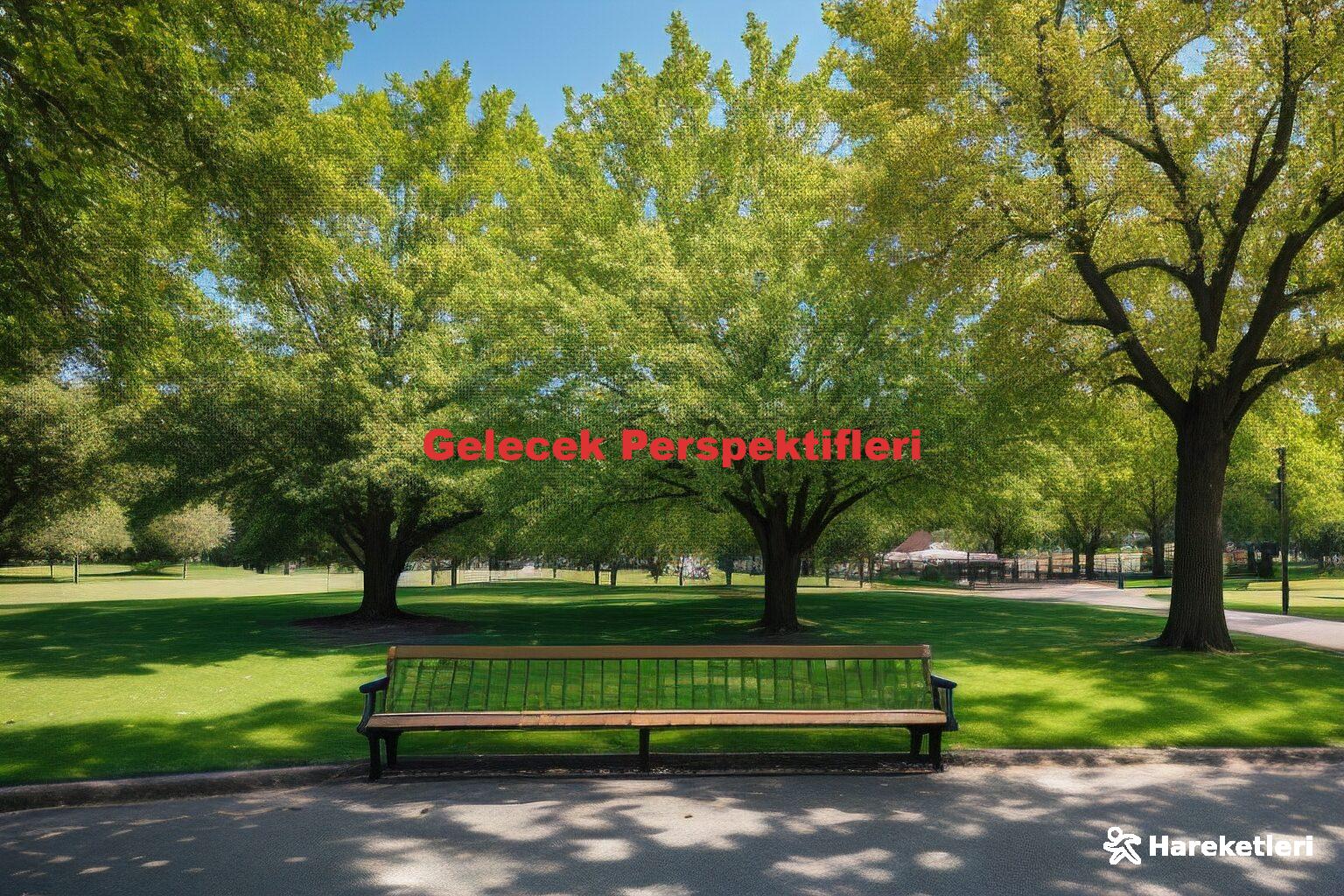 Gelecek Perspektifleri