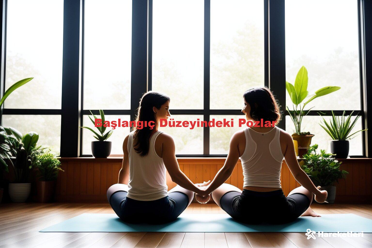 Başlangıç Düzeyindeki Pozlar