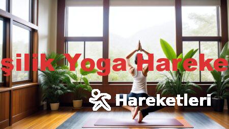 3 Kişilik Yoga Hareketleri