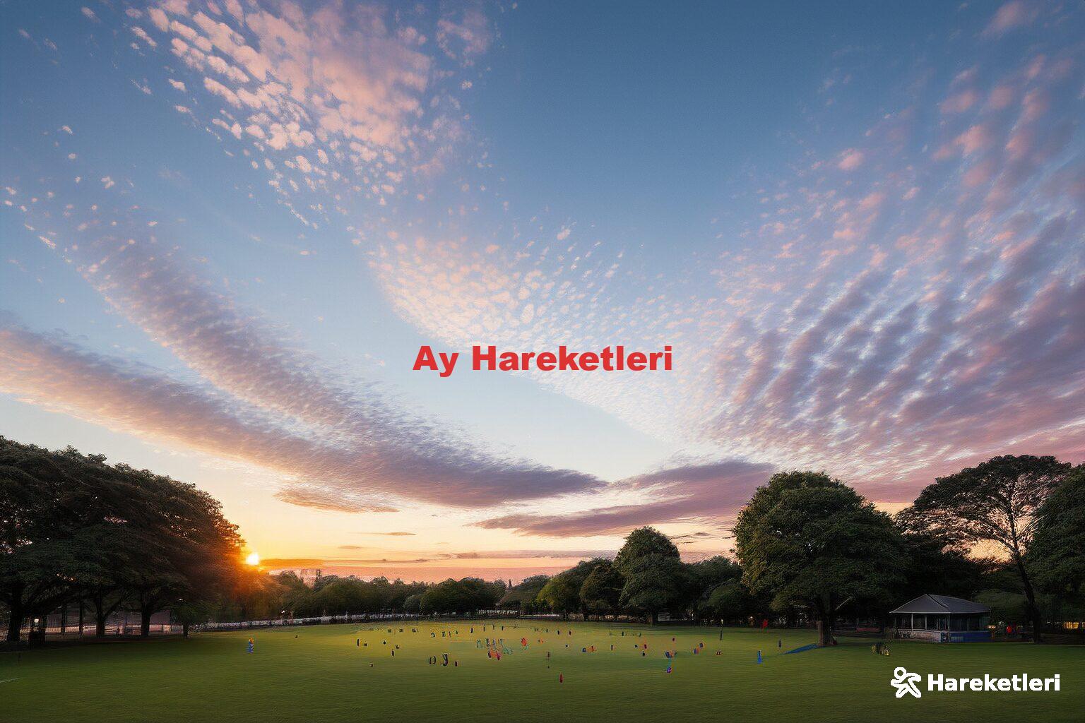 Ay Hareketleri