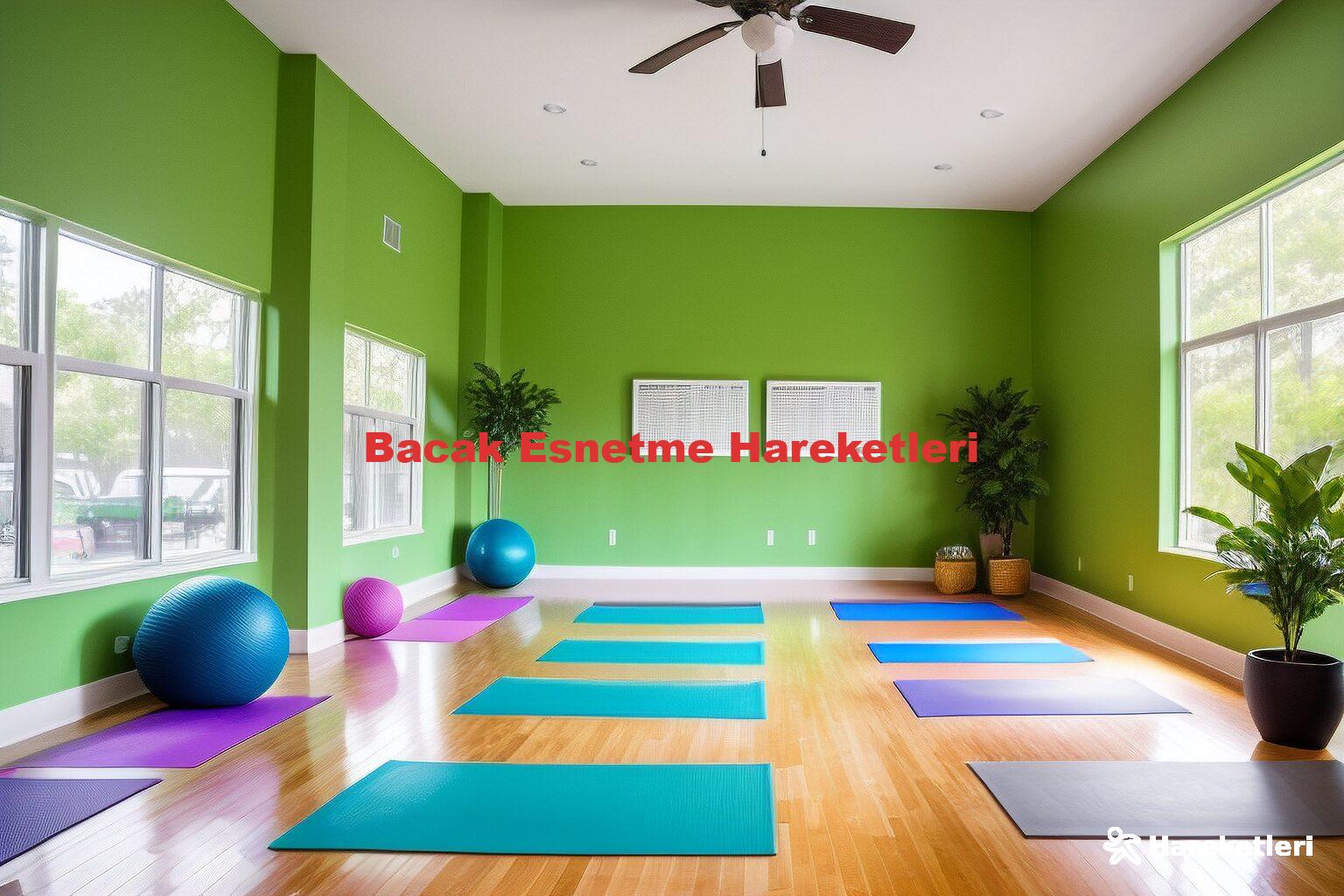 Bacak Esnetme Hareketleri