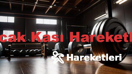 Bacak Kası Hareketleri