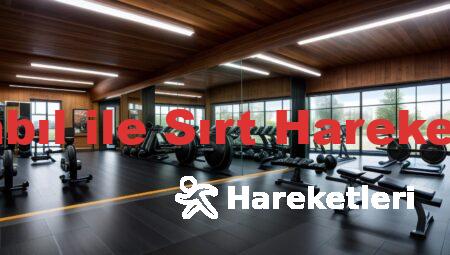 Dambıl ile Sırt Hareketleri