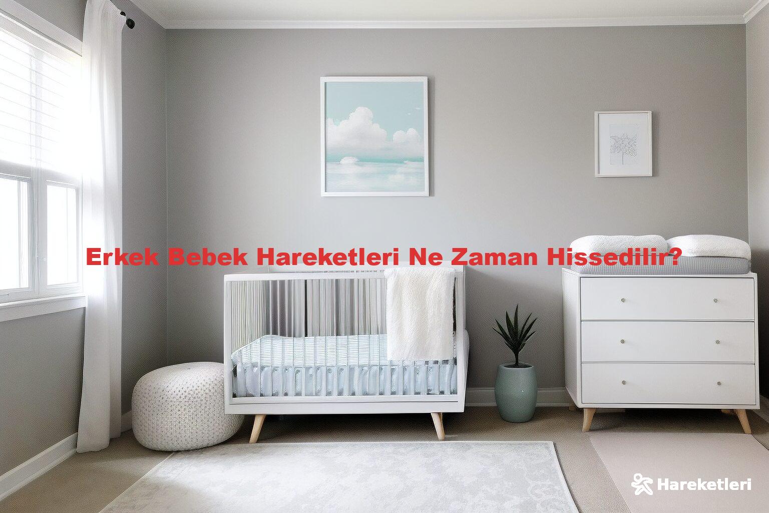 Erkek Bebek Hareketleri Ne Zaman Hissedilir?