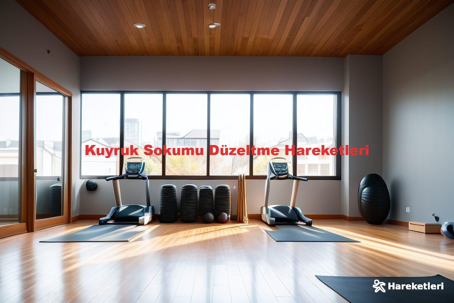 Kuyruk Sokumu Düzeltme Hareketleri