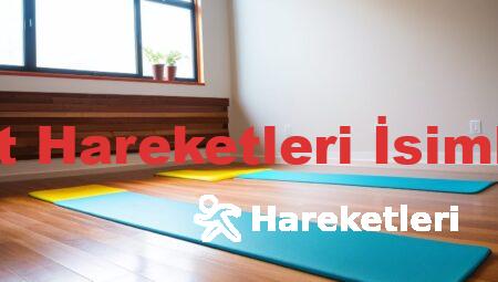 Sırt Hareketleri İsimleri
