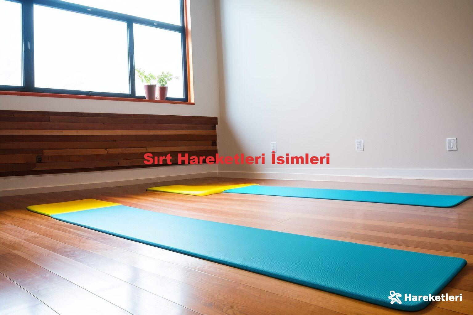 Sırt Hareketleri İsimleri