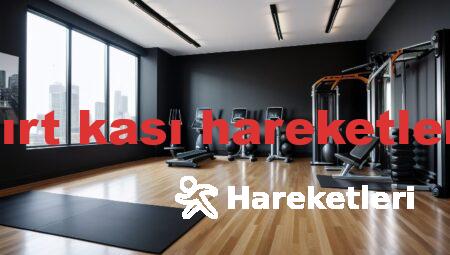 sırt kası hareketleri