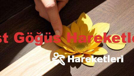 Üst Göğüs Hareketleri