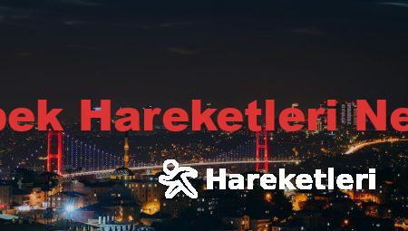 20 Haftada Bebek Hareketleri Nerede Hissedilir