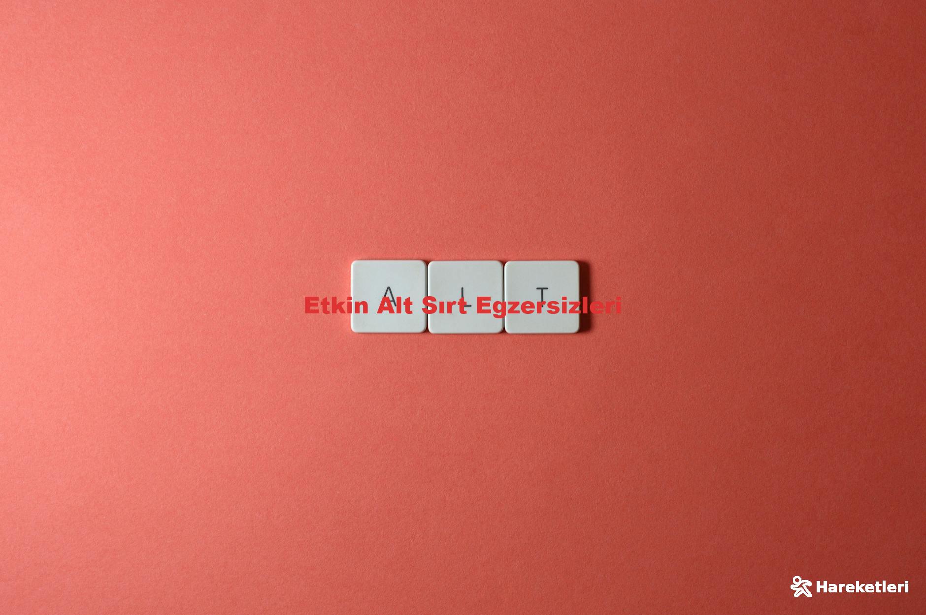 Etkin Alt Sırt Egzersizleri