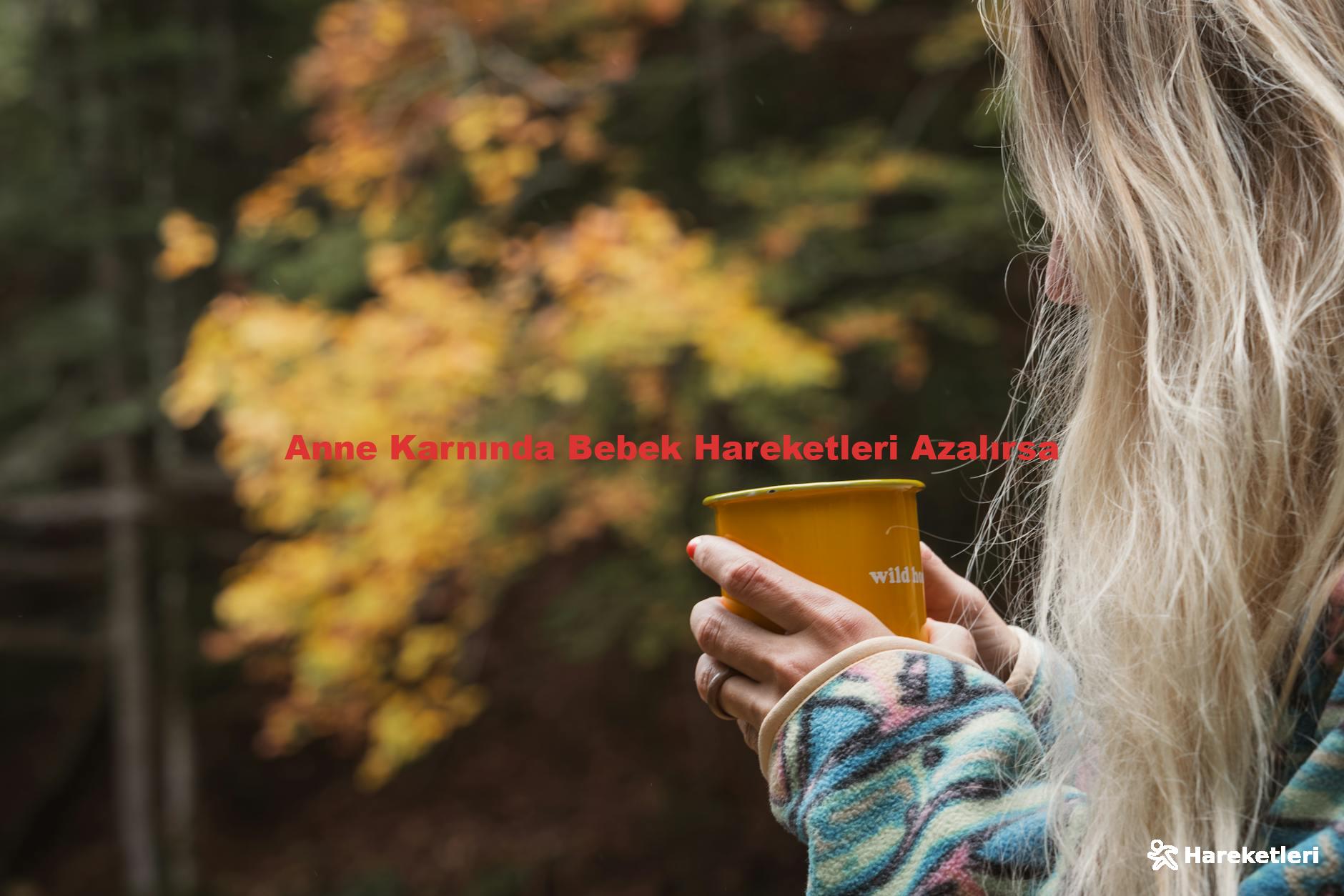 Anne Karnında Bebek Hareketleri Azalırsa