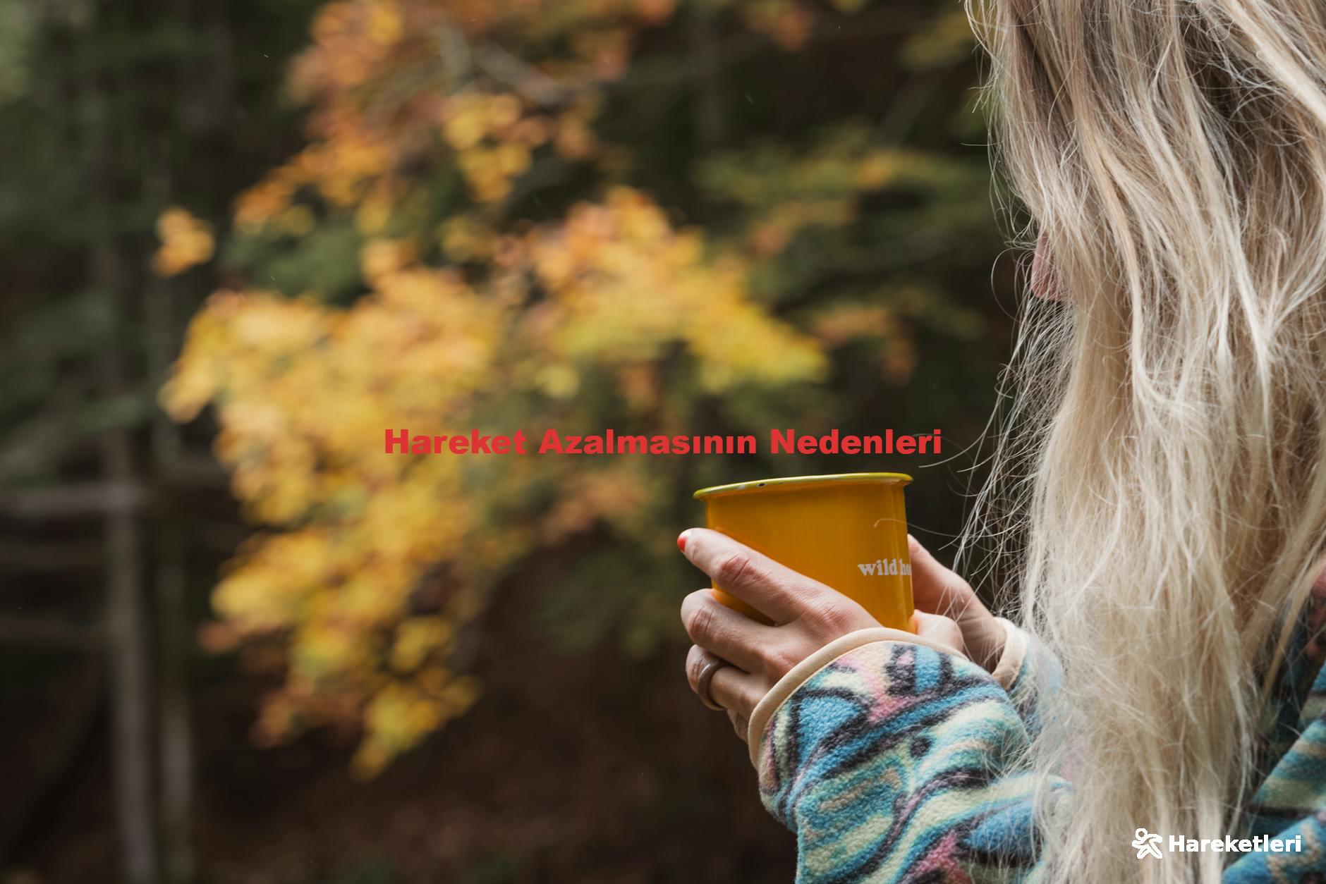 Hareket Azalmasının Nedenleri