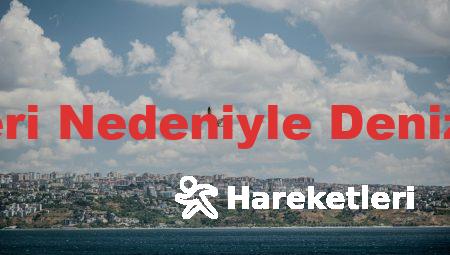 Ayın Hareketleri Nedeniyle Denizin Yükselmesi