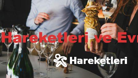 Ayın Hareketleri ve Evreleri