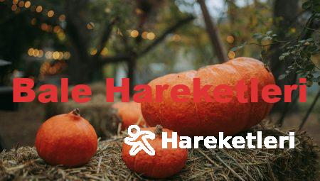 Bale Hareketleri