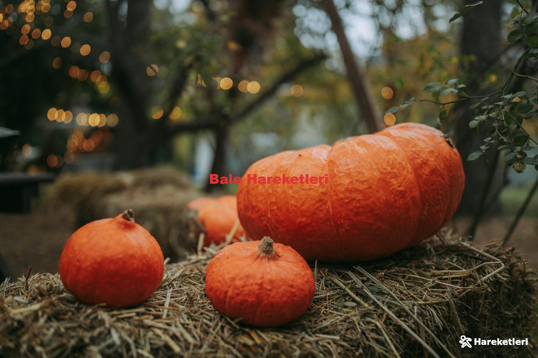 Bale Hareketleri