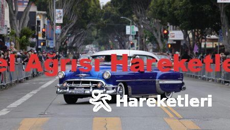 Bel Ağrısı Hareketleri