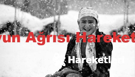 Boyun Ağrısı Hareketleri