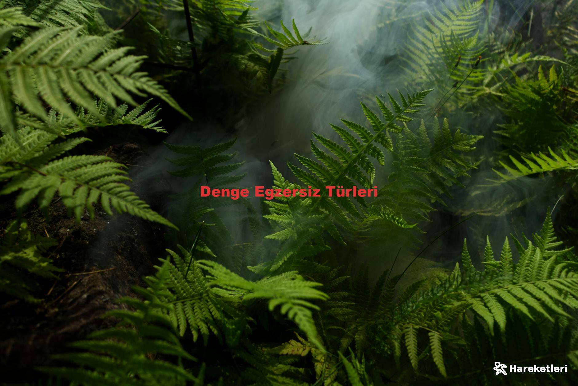 Denge Egzersiz Türleri