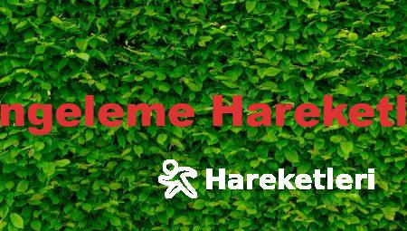 Dengeleme Hareketleri