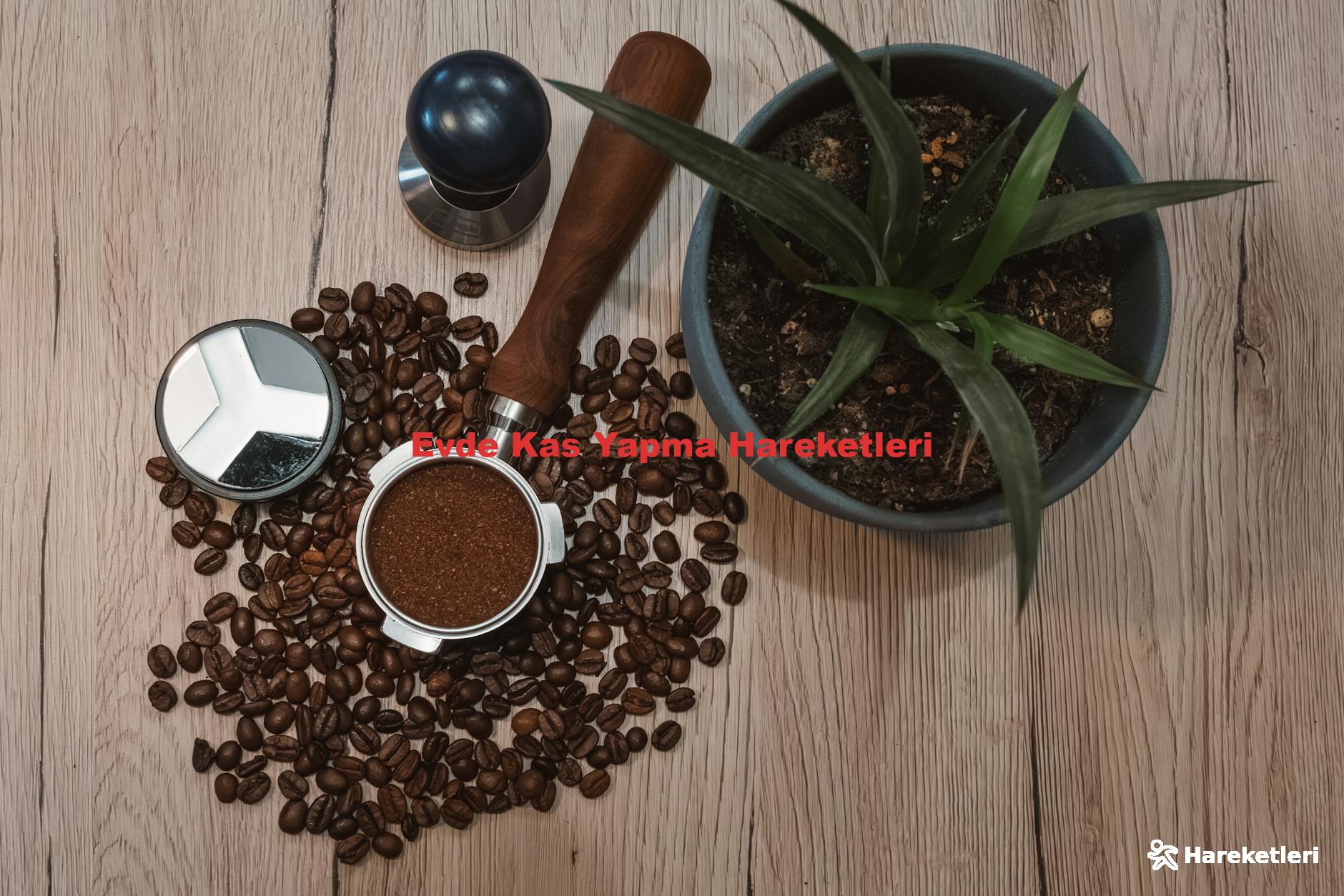 Evde Kas Yapma Hareketleri