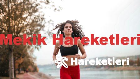 Mekik Hareketleri
