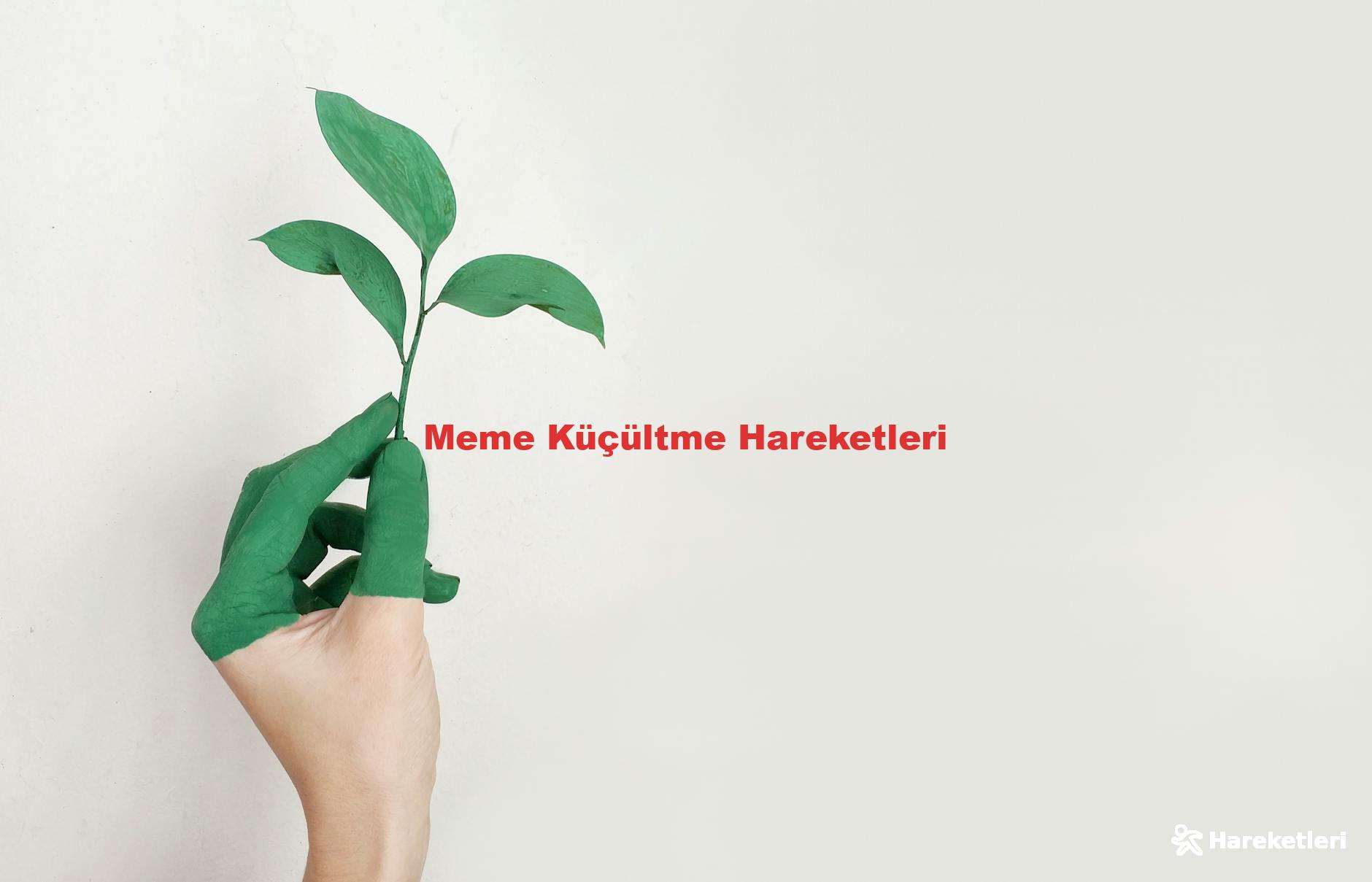 Meme Küçültme Hareketleri