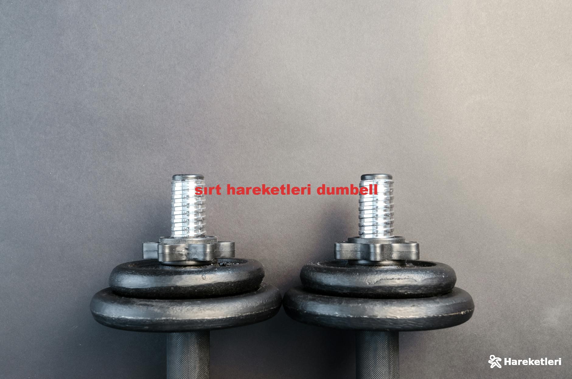 sırt hareketleri dumbell