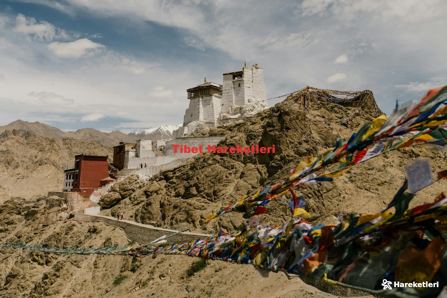 Tibet Hareketleri