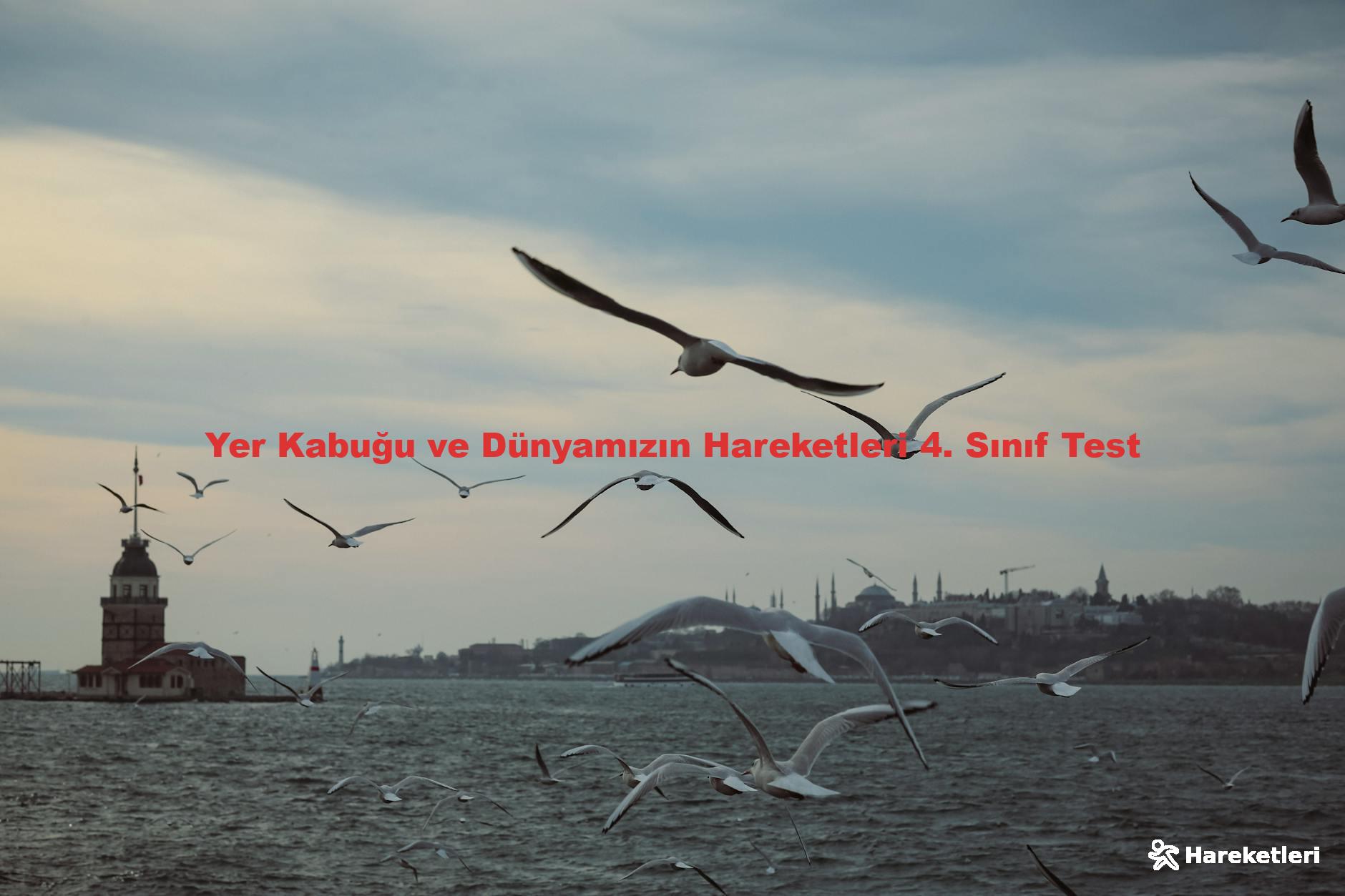 Yer Kabuğu ve Dünyamızın Hareketleri 4. Sınıf Test