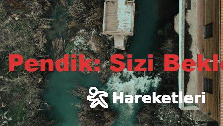 İngilizce Kursu Pendik: Sizi Bekleyen Sürprizler