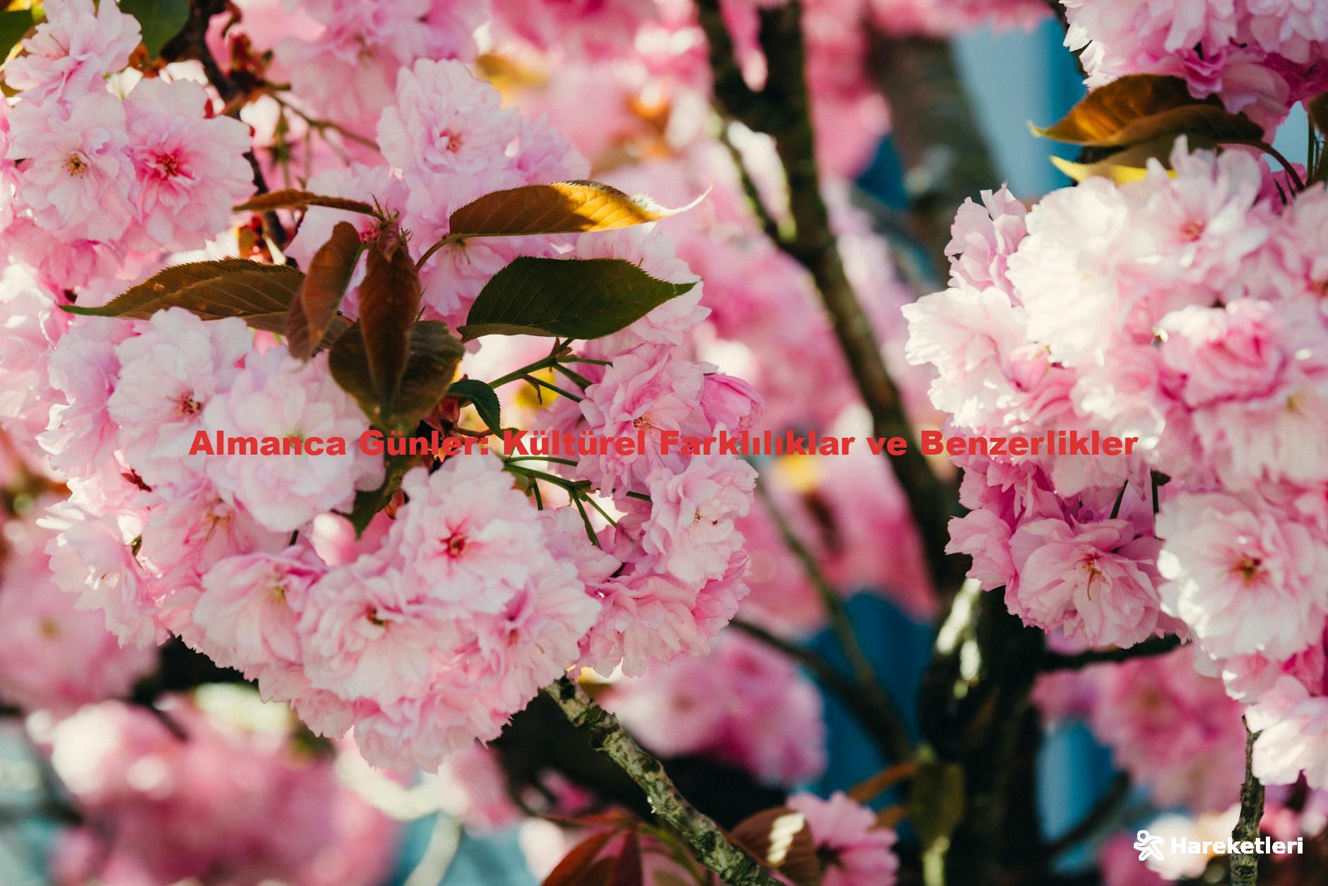 Almanca Günler: Kültürel Farklılıklar ve Benzerlikler