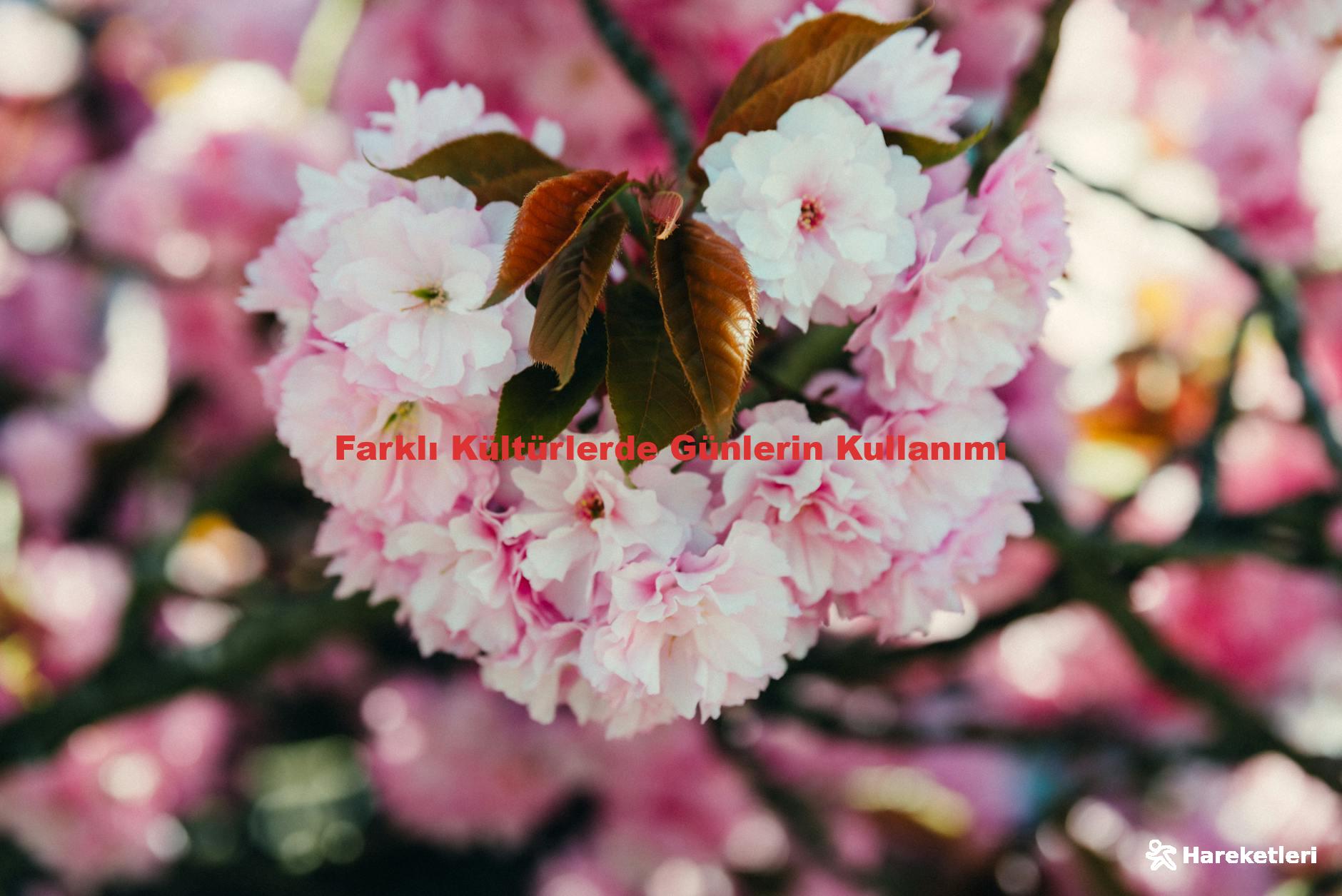 Farklı Kültürlerde Günlerin Kullanımı