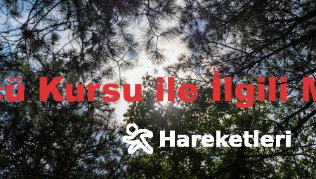 Bursa’da Sürücü Kursu ile İlgili Merak Edilenler