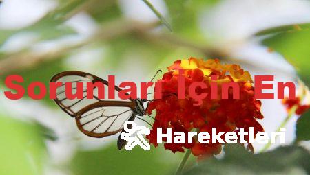 Oto Elektrik Sorunları İçin En İyi Çözümler