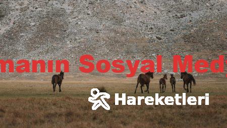 Takipçi Satın Almanın Sosyal Medya İmajına Etkisi