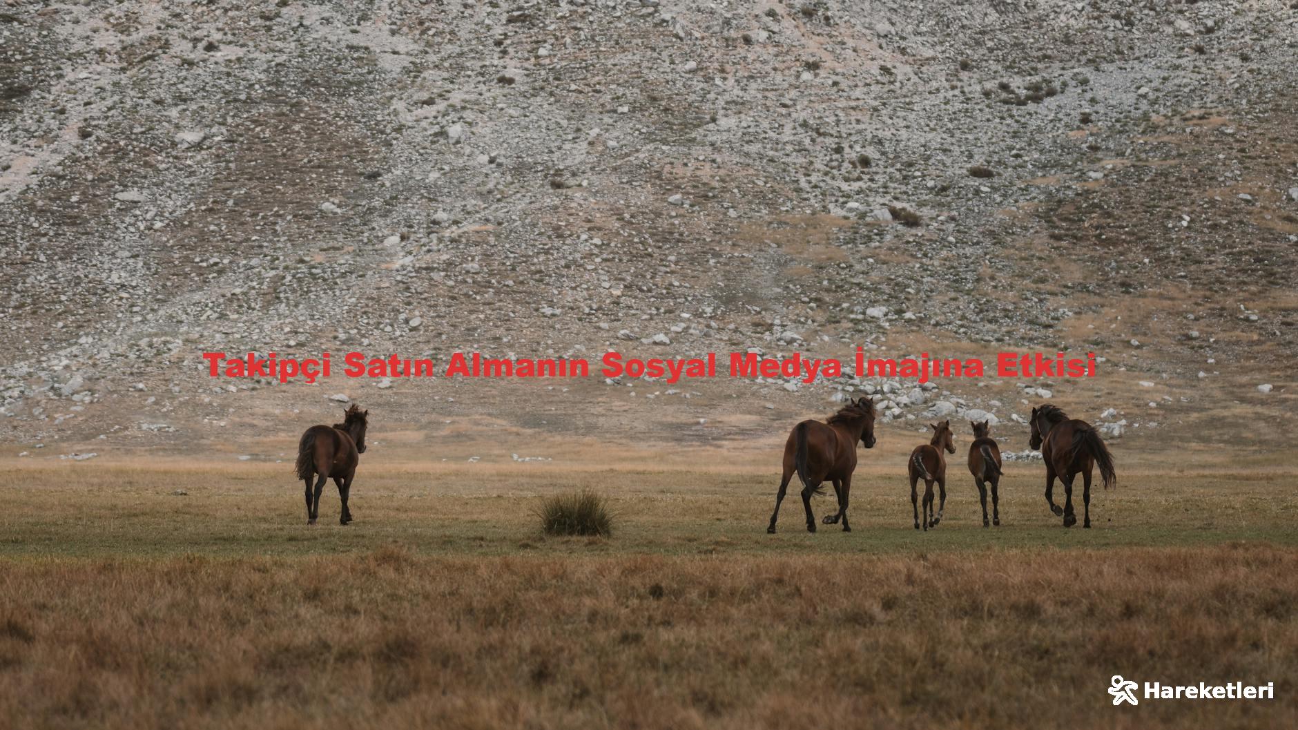 Takipçi Satın Almanın Sosyal Medya İmajına Etkisi